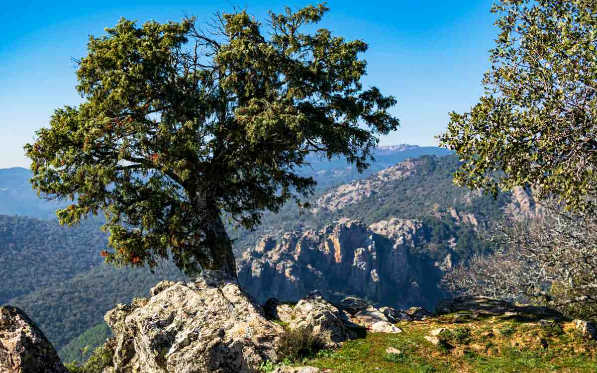 Despeñaperros Natural Park.