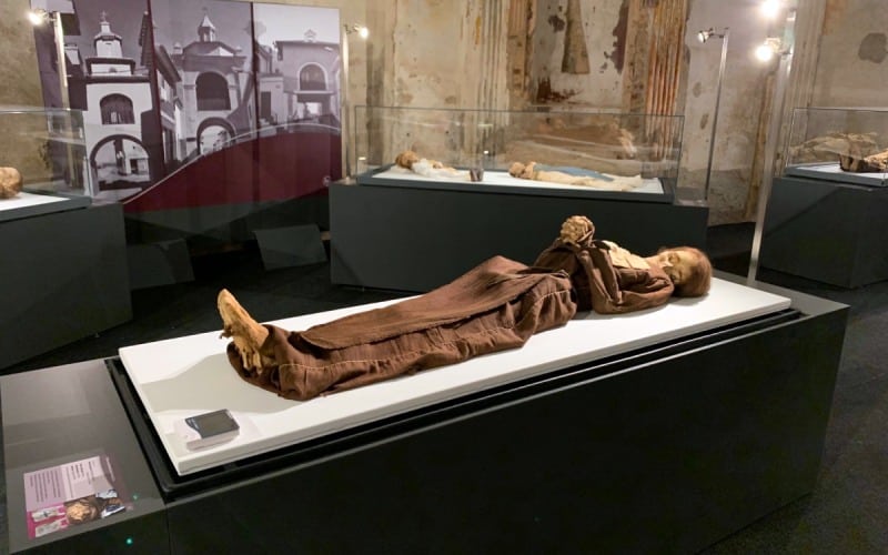 Lady, one of the stars of the museum