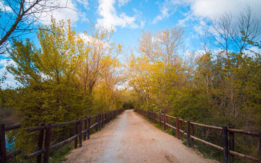 The river bend of Juslibol