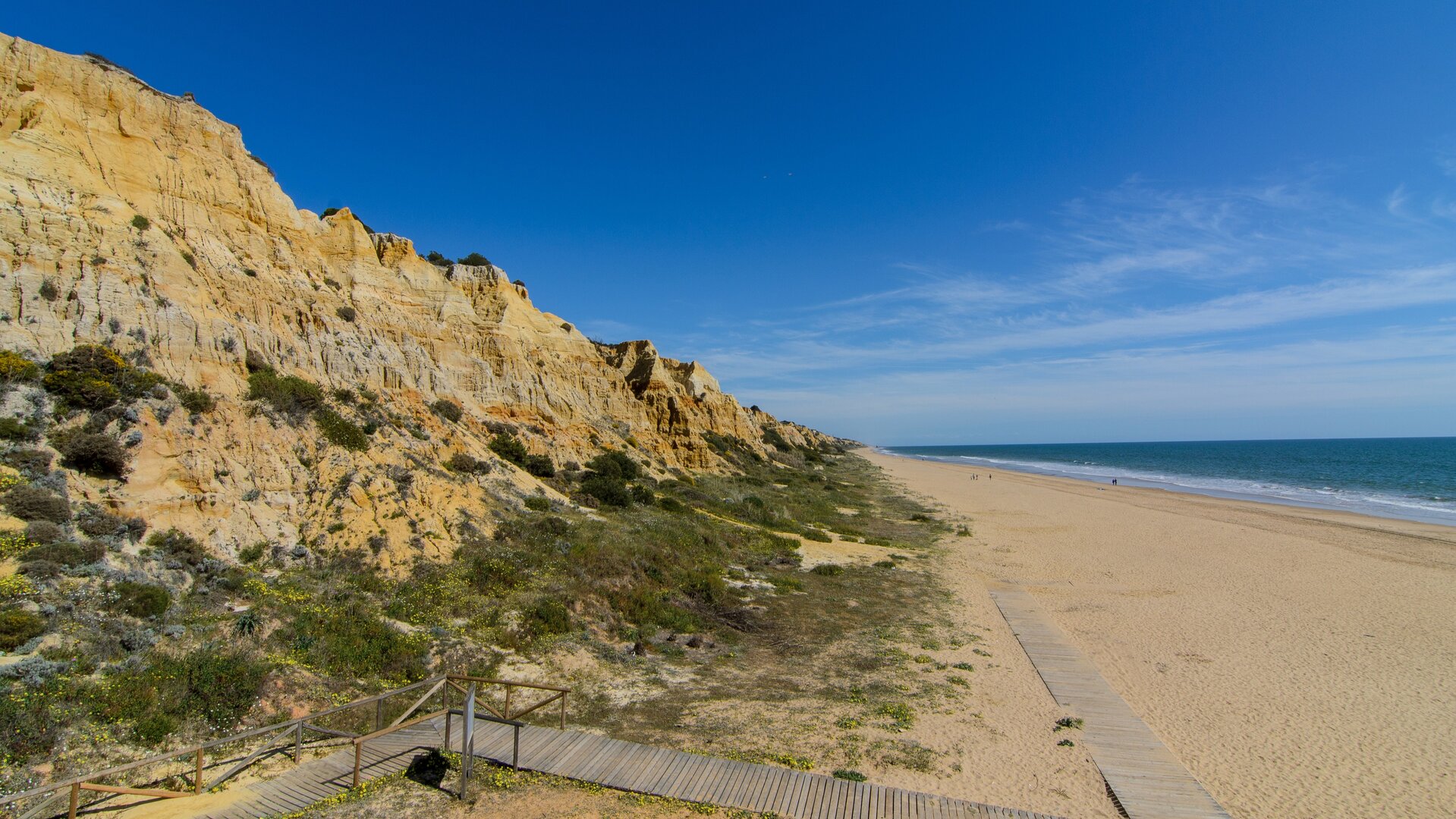 Pristine beach of Doñana along the coast of Huelva Province.| Dreamstime 