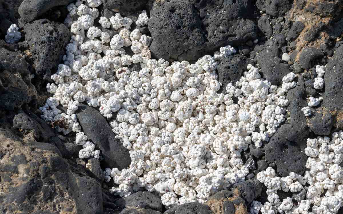 Испанский «пляж попкорна»: восхитительное открытие