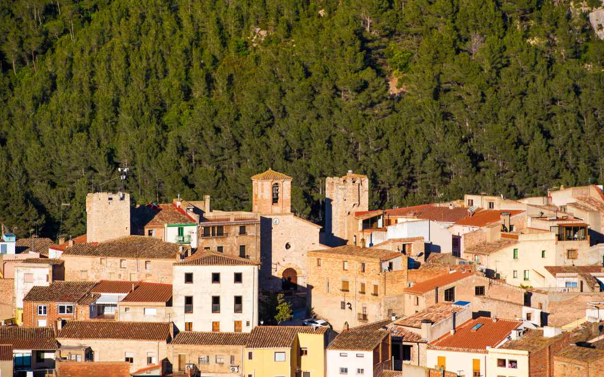 The Spanish village of vampire dogs