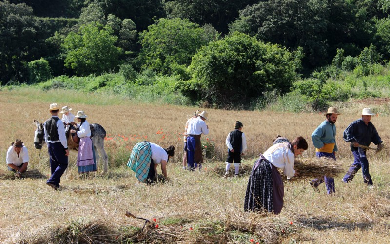 Feria de los Oficios Perdidos in Lituénig
