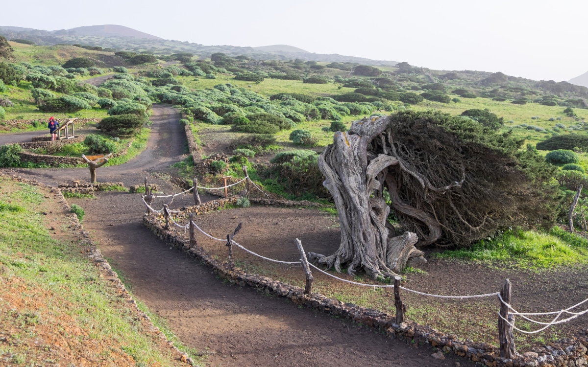 Сабинар де Ла Дехеса, пейзаж из внешнего мира