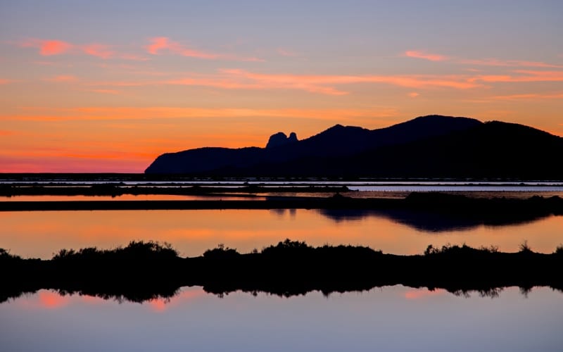 Natural Park of ses Salines