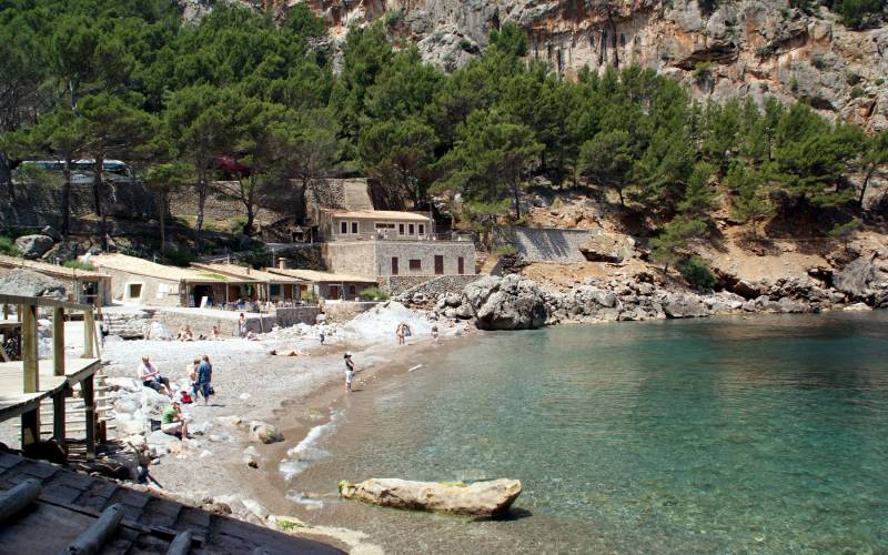 A beach with crystal waters surrounded by rocks and trees