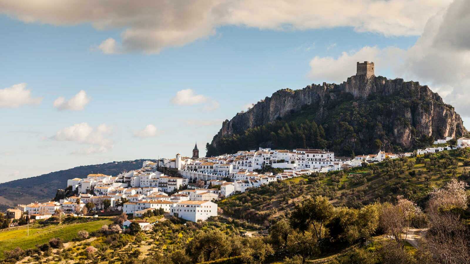 dreamstime_xl_49964334