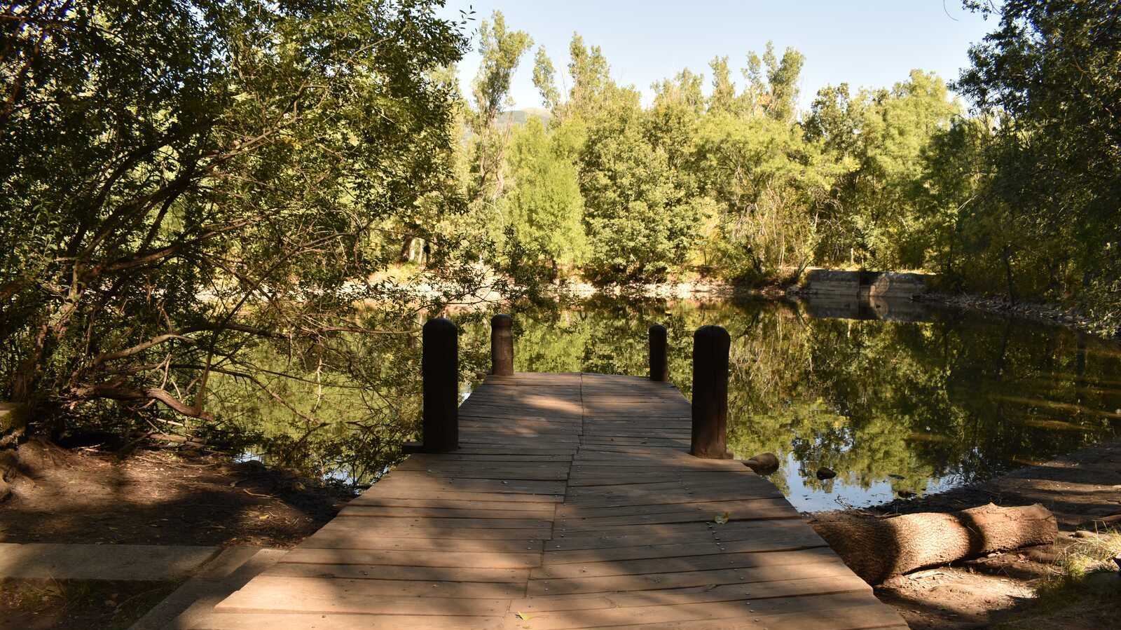 Finnish Forest. | Shutterstock