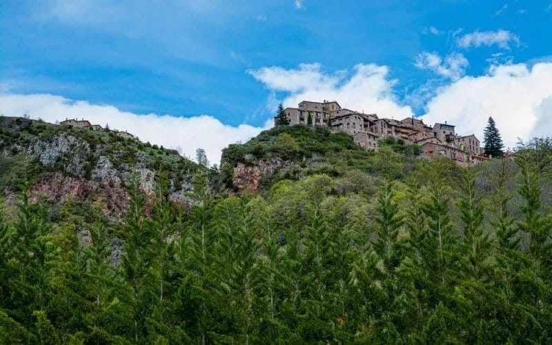 A forest and a village on top of a cliff