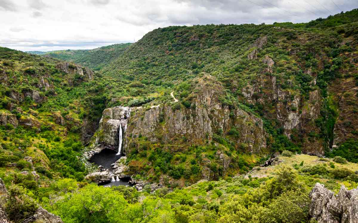 The waterfall and its surrounding area.