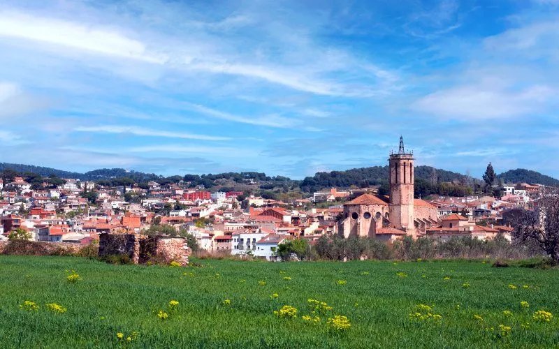 A green field and a village in the background
