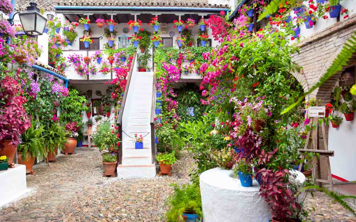 One of Córdoba’s traditional patios.
