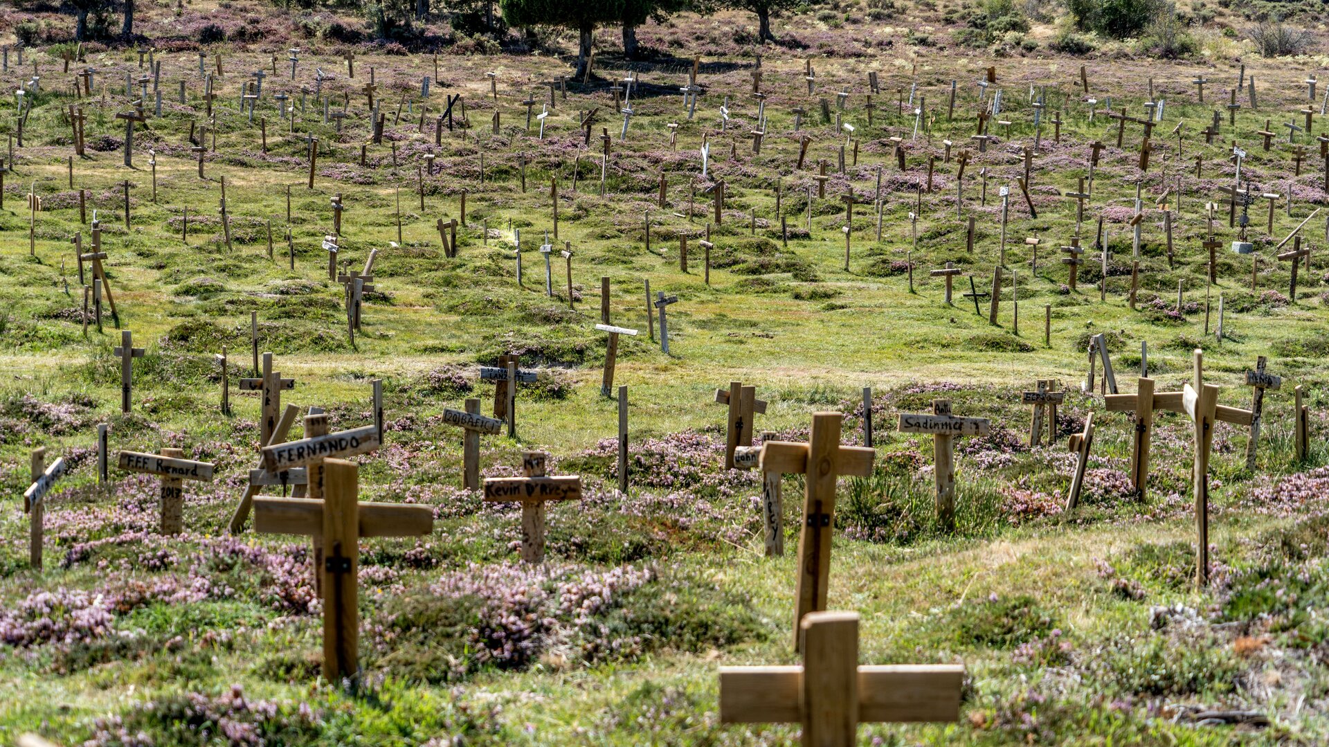 Crosses in Sad Hill Cemetery.