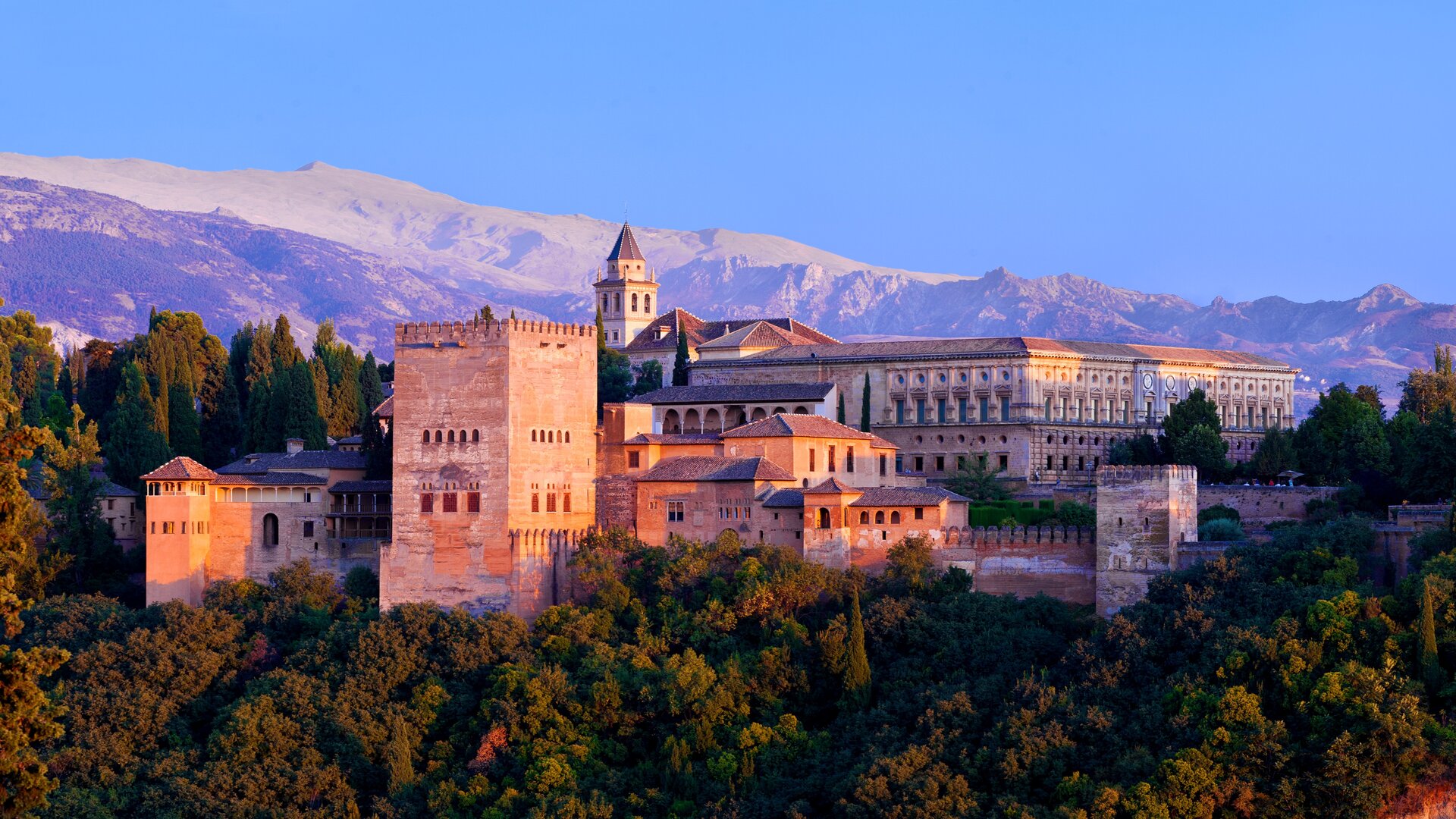 dreamstime_xl_52387621