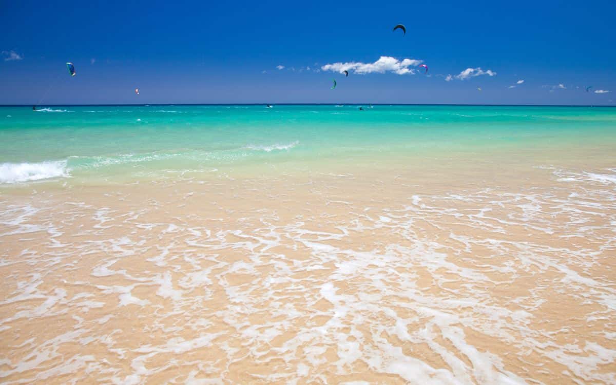 Water sports in the Playa de Sotavento.