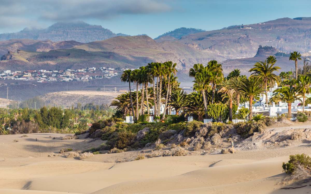 Maspalomas Oasis.