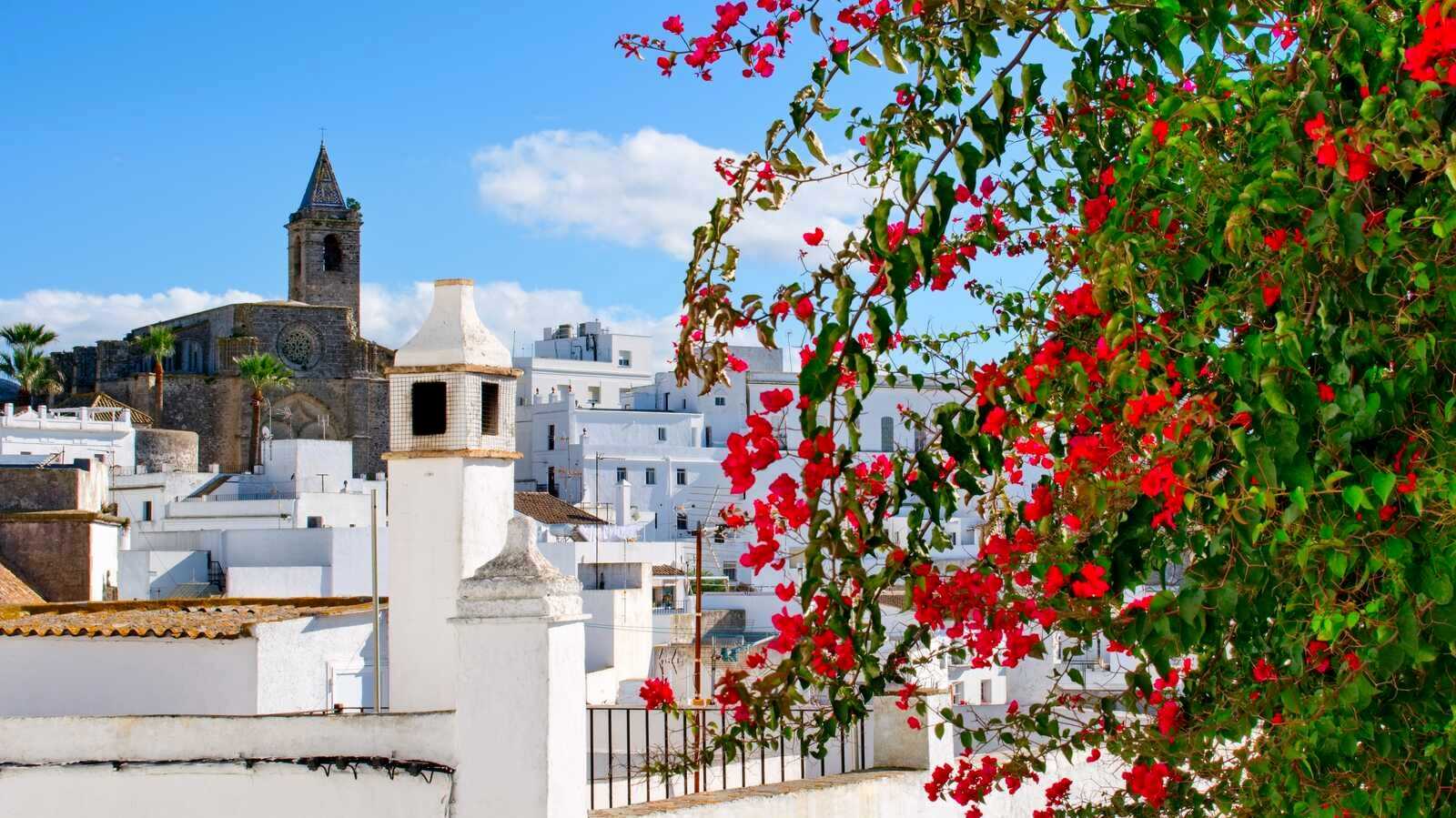 dreamstime_xxl_358671865