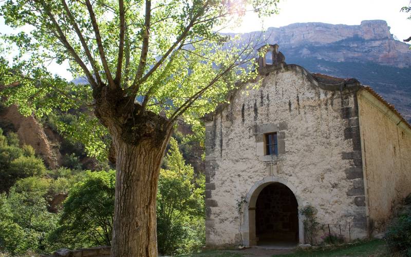 An old shrine and a tree on the left