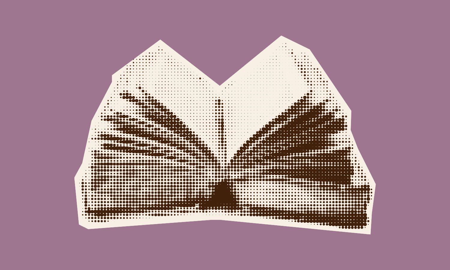 «Женская литература»: Враг блондинок